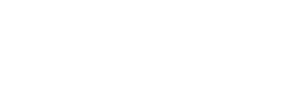 Willow St. Interiros logo