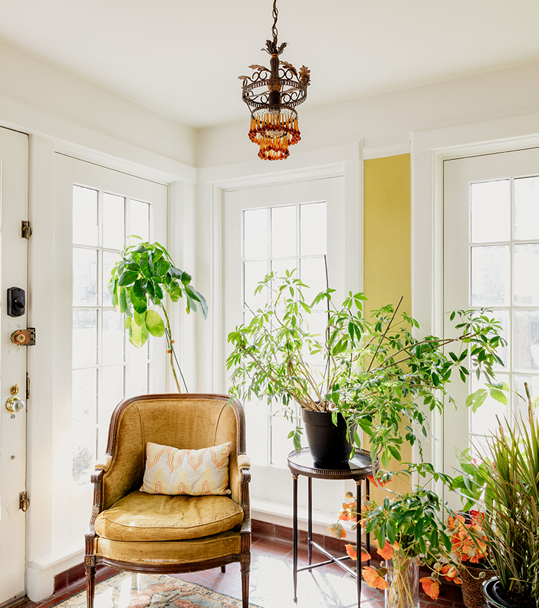 Paint Color Consultation